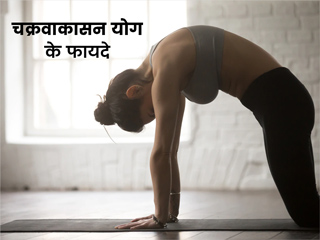 गर्दन और कमर दर्द से छुटकारा पाने के लिए करें चक्रवाकासन, जानें अभ्यास का सही तरीका